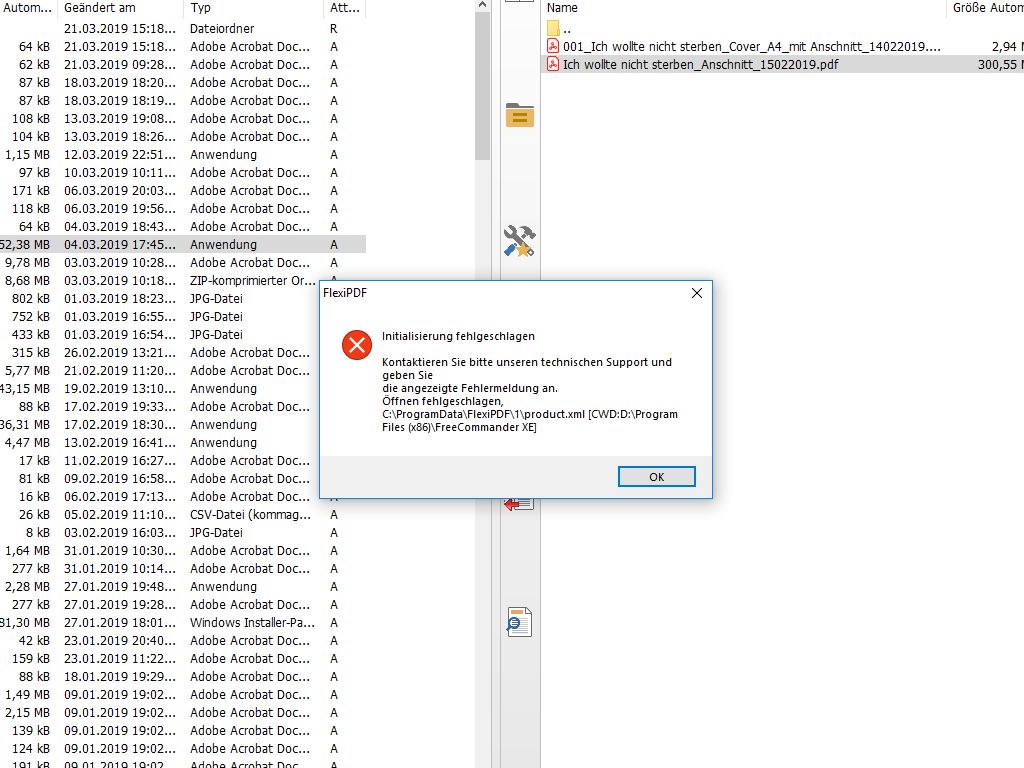 Initialisierungsfehler.jpg