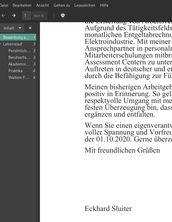 Pdf ohne sichtbares Bild - ohne Unterschrift.png