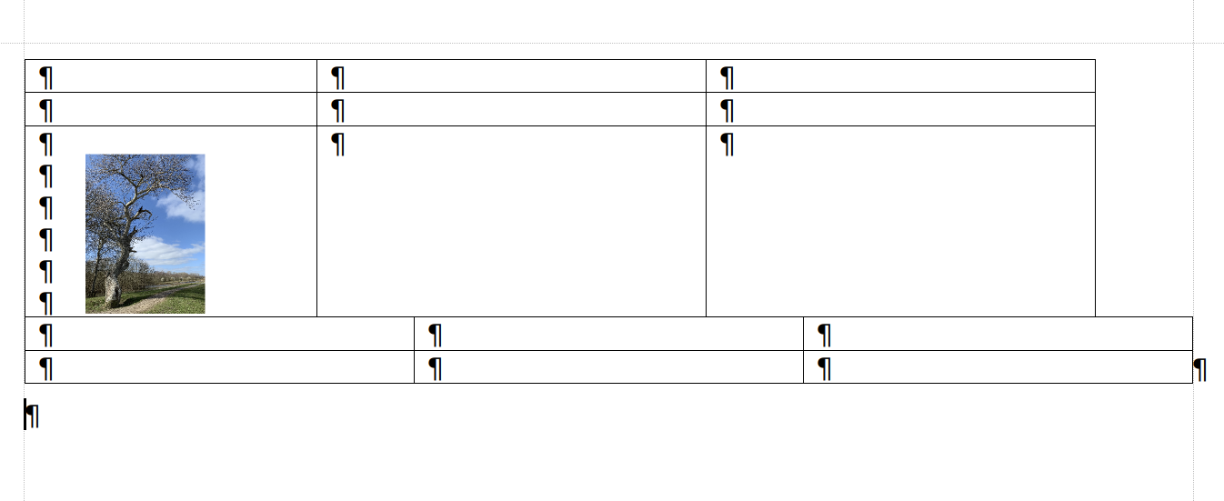 bild in tabelle - textmaker.png