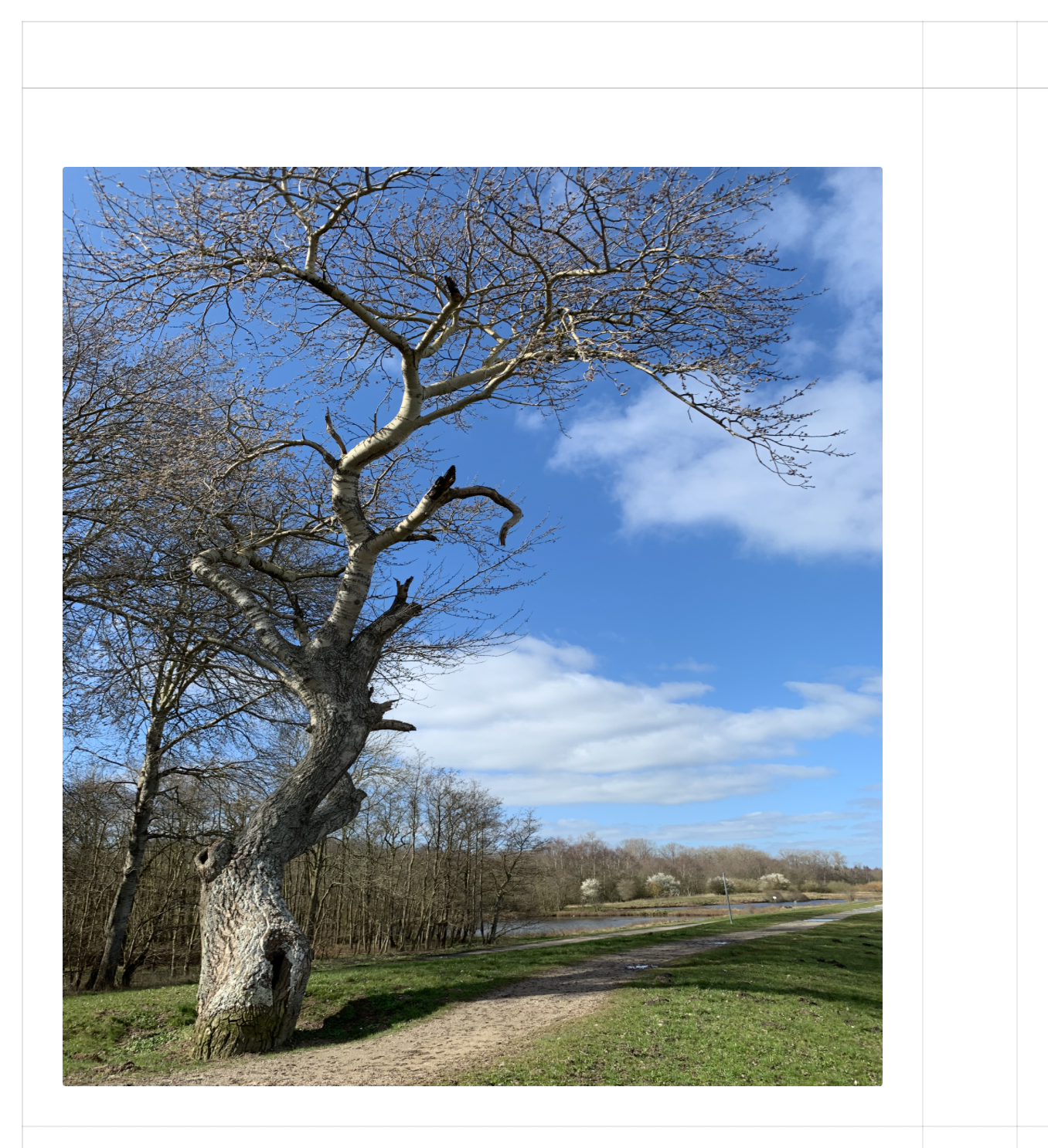 bild in tabelle - notebooks.png