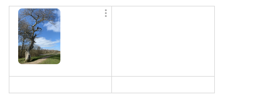 bild in tabelle - upnote.png