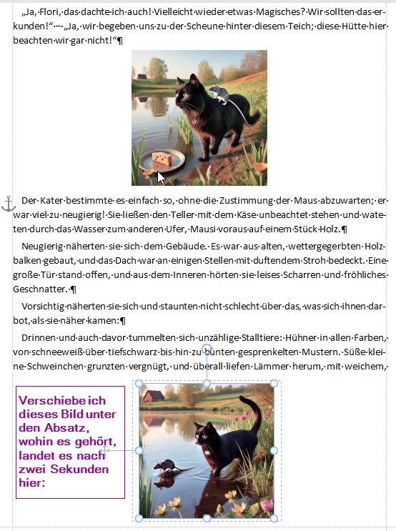 Bild verschieben 1.jpg